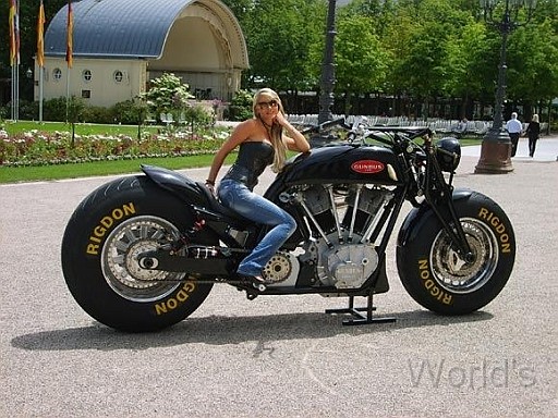 Gunbus 09.jpg - Sitzhöhe 80 cm